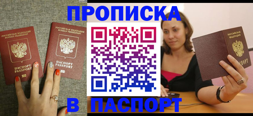 прописка паспорт в Алексеевке